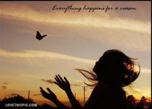 11324-Everything-Happens-For-A-Reason..