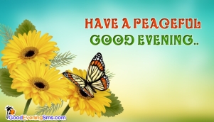 have-a-peaceful-good-evening-52650-14376