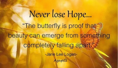 Butterfly Hope Quote