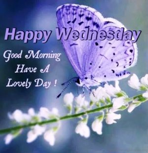Happy-wednesday-good-Morning-have-a-lovely-day