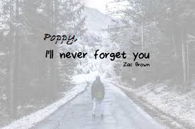 I will never forget