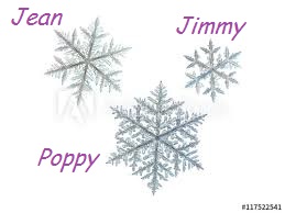 3 snowflakes with names