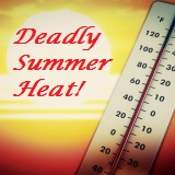 deadly summer heat