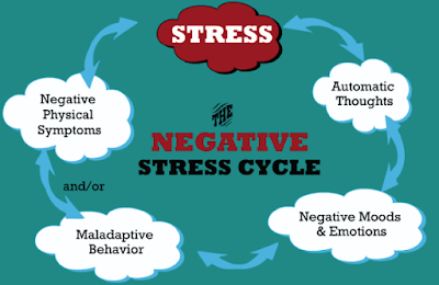 Negative Stress Cycle