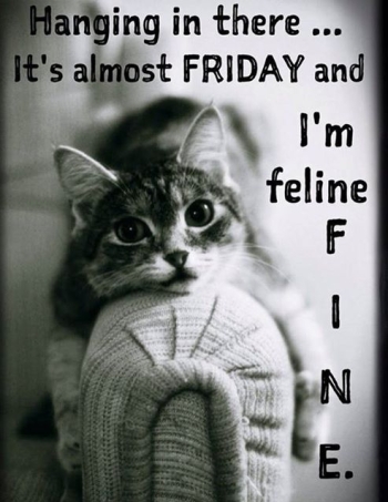 169859-Hang-In-There-Its-Almost-Friday